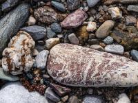 Länglicher rotbraun und weißer Stein umgeben von andersfarbigen